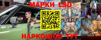 стаф Краснодар