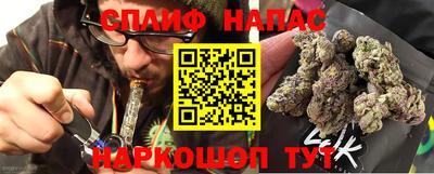 стаф Краснодар