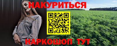 стаф Краснодар