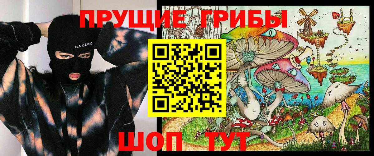 Югорск  Псилоцибиновые грибы Psilocybine cubensis  Вход с VPN 